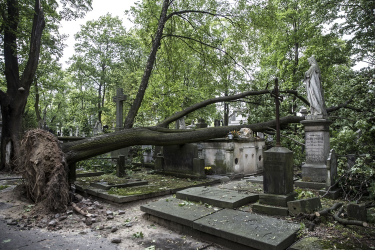 Powązki zniszczone po nawałnicy