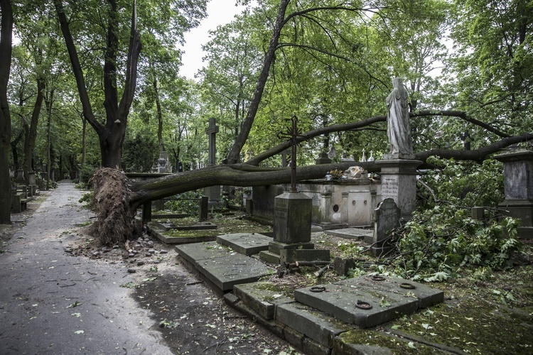 Powązki zniszczone po nawałnicy