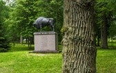 Perły z listy UNESCO. Puszcza Białowieska