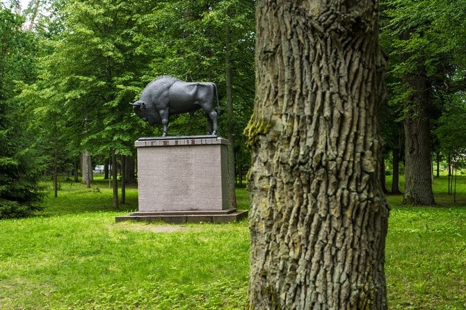 Perły z listy UNESCO. Puszcza Białowieska