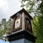 Perły z listy UNESCO. Puszcza Białowieska