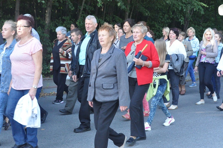 Z Trzetrzewiny i Brzeznej na Strzyganiec