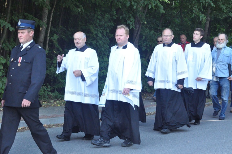 Z Trzetrzewiny i Brzeznej na Strzyganiec