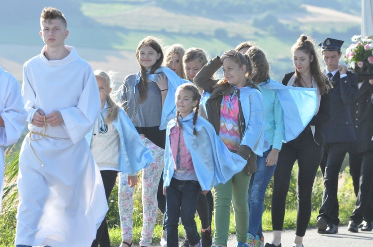 Z Trzetrzewiny i Brzeznej na Strzyganiec