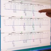 Dzięki badaniom DNA można ustalić nie tylko to, kto był biologicznym ojcem, ale także  dziadem, pradziadem…