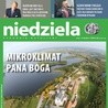 Niedziela 29/2017