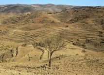 Archeolodzy na tropie rozwoju chrześcijaństwa w obecnej Erytrei