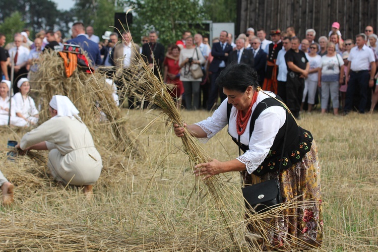 Łowickie Żniwa w skansnie w Maurzycach