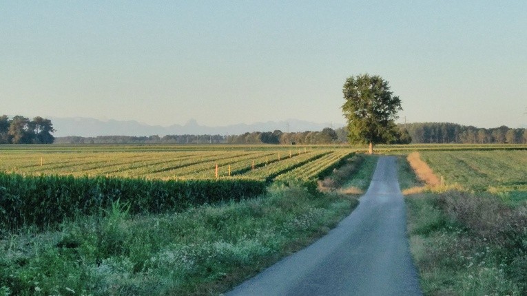 Dariusz Brosig na Camino, cz. 2