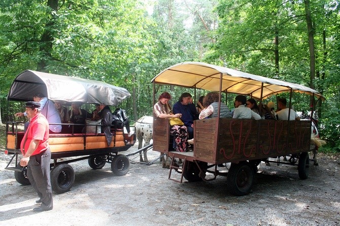 Międzynarodowy Tabor Pamięci Romów