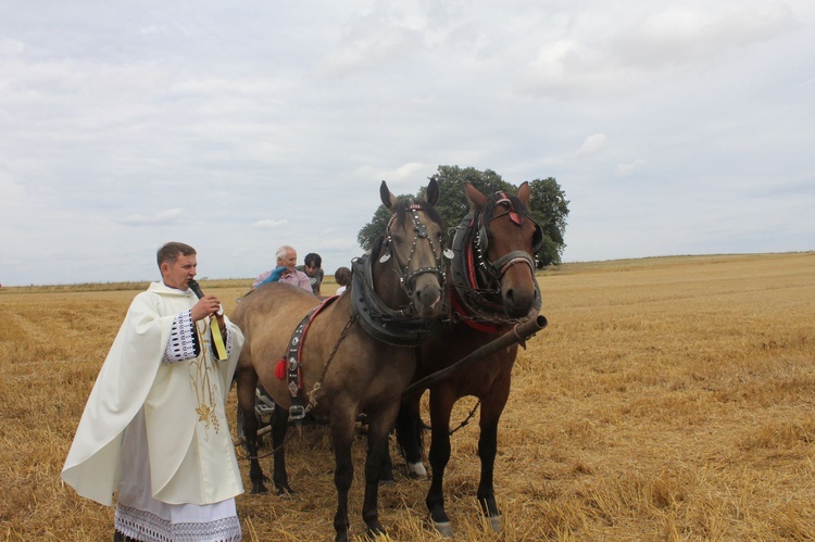 VIII Konna Pielgrzymka