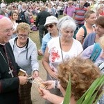 Pielgrzymka diecezji radomskiej - kolumny: opoczyńska, skarżyska i starachowicka