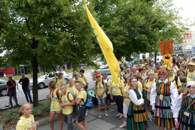 Pielgrzymka diecezji radomskiej - kolumny: opoczyńska, skarżyska i starachowicka