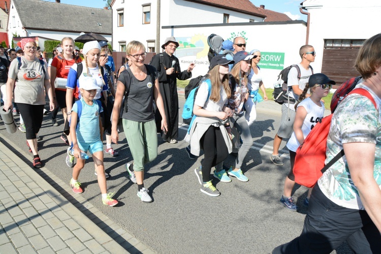 Strumień opolski w Kamieniu Śląskim