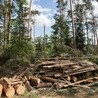 ZHR: Mieszkańcy wsi Lotyń pomogli nam pierwsi
