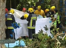 Portugalia: Do 13 wzrosła liczba zabitych w wyniku upadku drzewa na Maderze