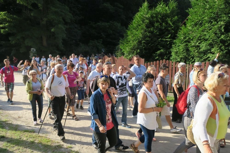 Pielgrzymka Trzeźwości 2017