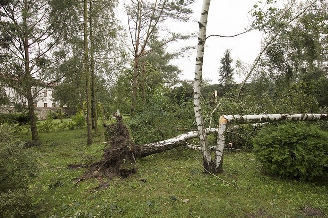 Zniszczenia w klasztorze gnieźnieńskich karmelitanek