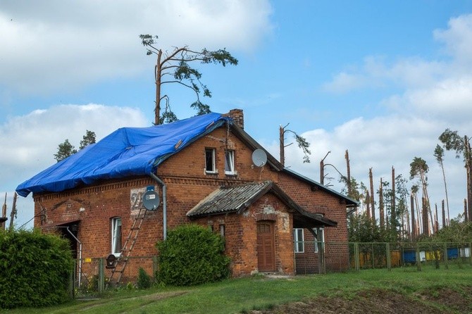 Rytel kilka dni po nawałnicy