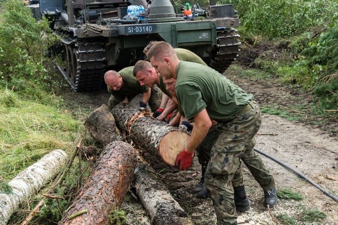 Rytel kilka dni po nawałnicy