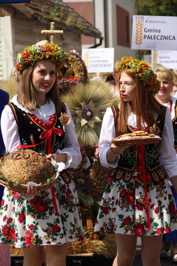 Dożynki wojewódzkie w Bobowej