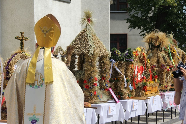 Dożynki wojewódzkie w Bobowej