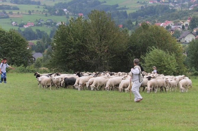 Karpacka watra na Złotym Groniu w Istebnej