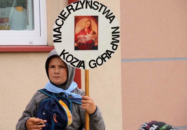 Pielgrzymka Ruchu Światło-Życie i Liturgicznej Służby Ołtarza