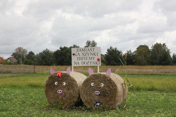 Wojewódzkie dożynki w Urazie