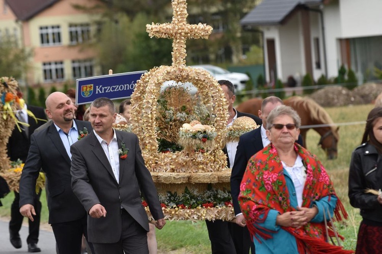 Dożynki diecezjalne w Lutomii Dolnej