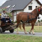 Dożynki diecezjalne w Lutomii Dolnej