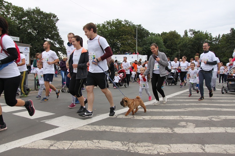 Wrocławski maraton