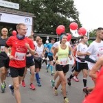 Wrocławski maraton