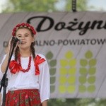 Diecezjalne dożynki A.D. 2017 w Kętach