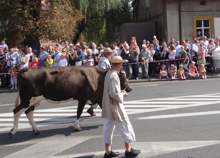 60. Gwarki Tarnogórskie