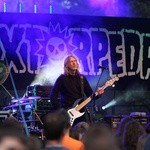 Koncert zespołu "Luxtorpeda"