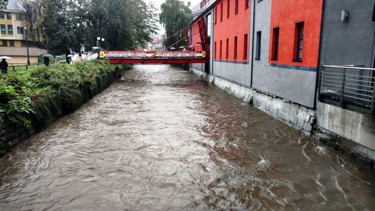 Białka przy CH "Sfera" w Bielsku-Białej 