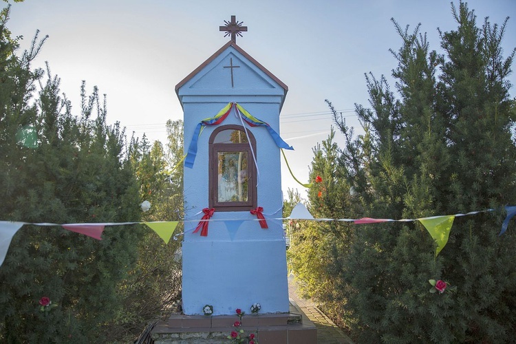 Czym Cię ucieszyć we Franciszkowie?