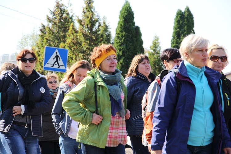 Pielgrzymka katechetów i nauczycieli