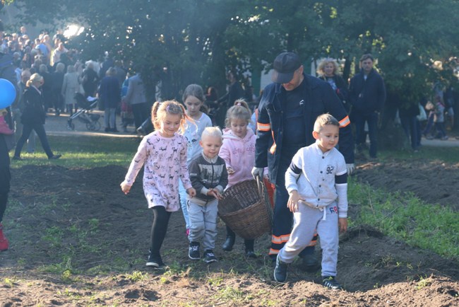 Festiwal Ziemniaka w skansenie