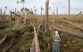 Orlik - półtora miesiaca po nawałnicy