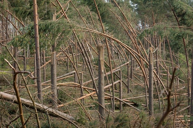 Orlik - półtora miesiaca po nawałnicy