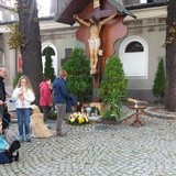 Błogosławieństwo zwierząt w Gliwicach