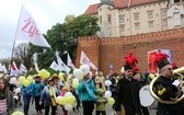 II Małopolski Marsz "Rodzinie i Życiu Tak!"