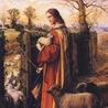 Ratowanie owiec