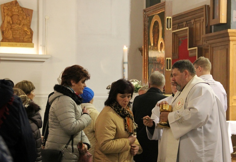 Jasnogórska ikona w Wielgolesie