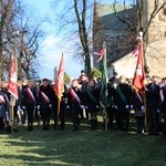 Uroczystości św. Marcina w Opatowie