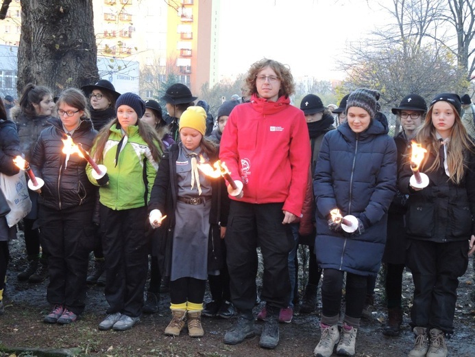 Święto Niepodległości w Bielsku-Białej - 2017