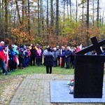 Śląskie Camino w Święto Niepodległości