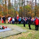 Śląskie Camino w Święto Niepodległości